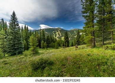 A View Of Copper Mountain Ski Resort In Summer While Hiking The Gore Trail In The Eagles Nest Wilderness Off Of I-70 In Colorado