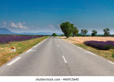 View Of Country Road At Summer Sunny Day, Provence, France