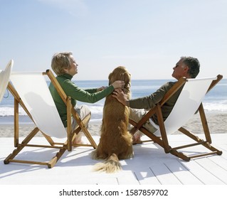 View Of A Couple Petting Golden Retriever As They Sit In Lawn Chairs On The Beach