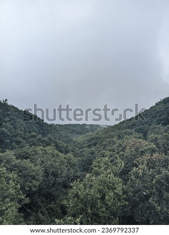 Similar – Image, Stock Photo Original forest in the mountains of Sardinia