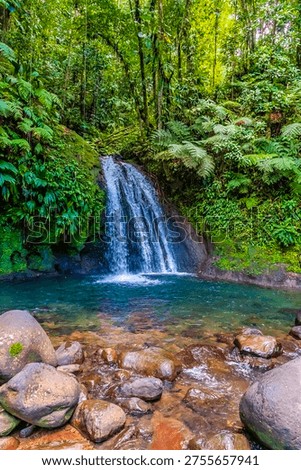 A view of the Crayfish Waterfall on Basse Terre, Guadeloupe on a bright morning