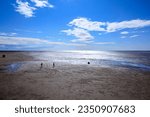 The view of the Crosby Beach under the blue sky at sunny day in Liverpool, UK. City in Merseyside county of North West England. Travel and nature scene.