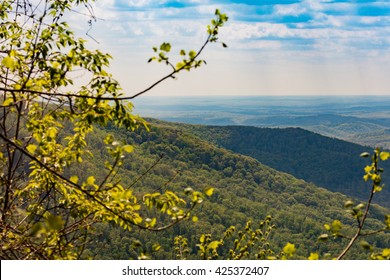 View Of Cumberland Mountains And Valley From Overlook At Frozen Head State Park