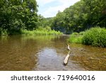 View of the Current River flowing through lush greenery and forest trees in the Ozarks, Missouri, USA in a tranquil scenic landscape