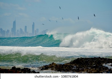 View From Currumbin Alley Towards Surfers Paradise On The Gold Coast. Ocean Birds Swoop The Big Sea Waves. A Cityscape In Silhouette On The Horizon.