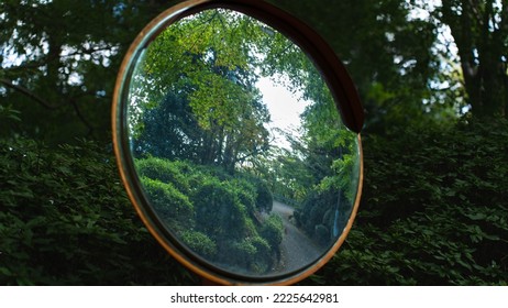 The View From The Curved Mirror