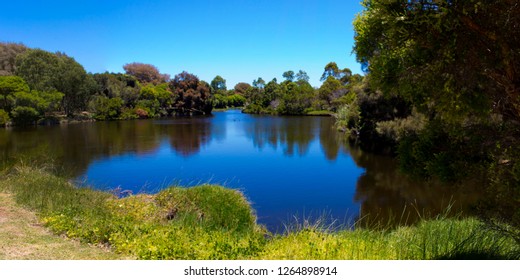 View Cycleway Peaceful Big Swamp Wetlands Stock Photo 1264898914 