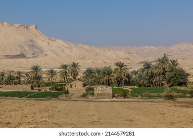 View Of Dakhla Oasis, Egypt