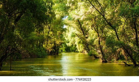 View From Danube Delta