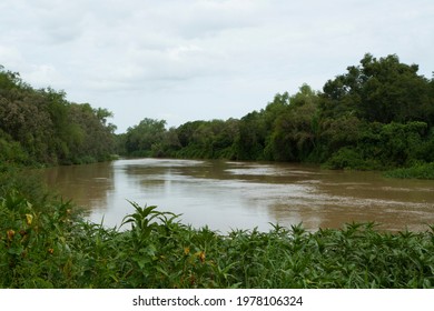 View Of The Dark Water Paraná River Flowing Across The Green Forest. 