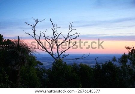 View of Darling downs on sunset facing west.  Silhouette of a tree missing its leaves against the sky