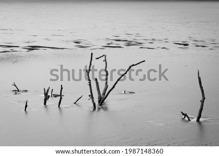 Similar – Image, Stock Photo gloomy Environment Nature