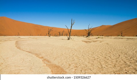 View of dead vlei, a dried out valley filled with ancient dead trees at Sossusvlei, Namib desert, Namibia