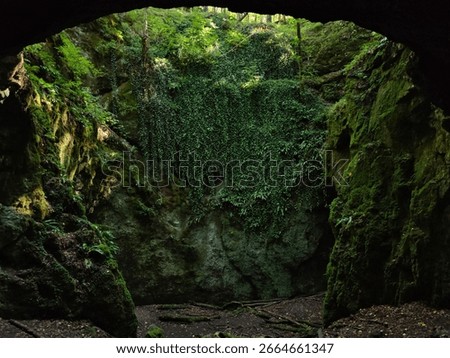 View from deep inside Dantes Hell Cave (Udvarkő) towards the entrance, framed by the cave's arch and covered in moss and ivy, Bükk Mountains, Hungary.