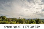 View of Dense Fores With Clouds Over it Daytime