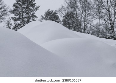 View of a dense snowdrift in a winter forest