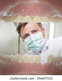 View Of A Dentist From The Inside Of Mouth