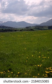 View Of The Chaîne Des Puys Du Sancy In Summer. Auvergne, France