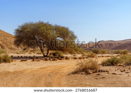 View of desert landscape, inside Makhtesh (crater) Ramon, the Negev Desert, Southern Israel