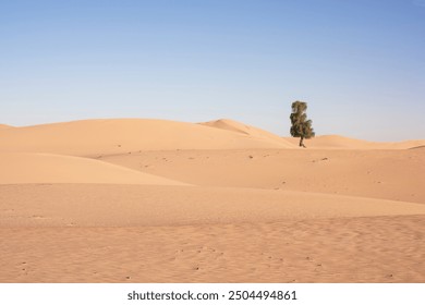 view of a desert landscape with a lone tree amidst the dunes, showcasing the vast and arid beauty. - Powered by Shutterstock