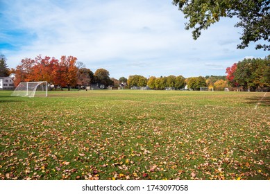 View of a deserted football pitch with goals and nets in a public park on a sunny autumn moning. The pitch is covered in fallen leaves. - Powered by Shutterstock