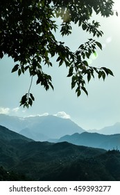 View Of Dhauladhar Range From Dharamshala