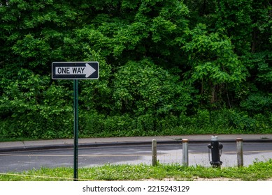 A view of different one way signs 