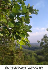 View At Diponegoro Hill Tembalang