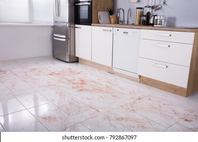 View Of Dirty Floor In Kitchen At Home