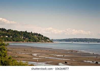 View From Discovery Park In Seattle, WA