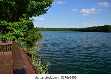 View From The Dock