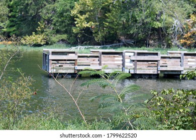 View Of A Dock On Badin Lake In North Carolina