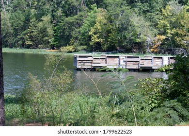 View Of A Dock On Badin Lake In North Carolina