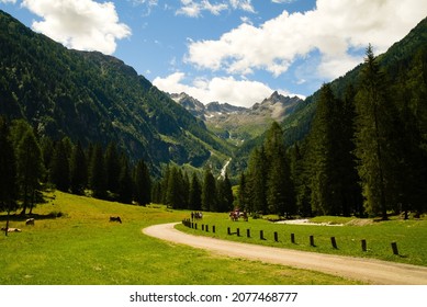 View Of Dolomites From Val Di Sole.