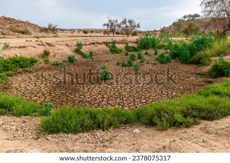 A view down the dried up Agab river bed at Oruhito in Namibia during the dry season