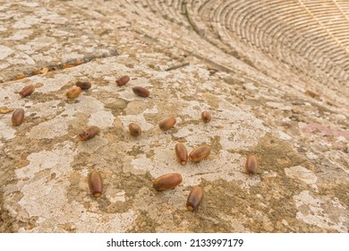 View Down On The Seats Of Epidavros Theatre, Ancient Greece	