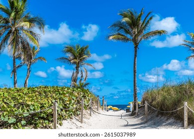 A view down a sandy path past palm trees leading to the South Beach in Miami in springtime