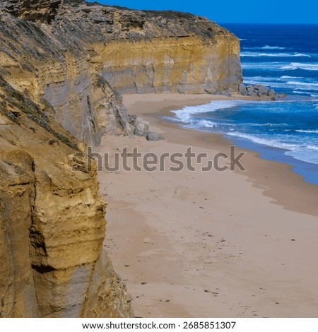 View down the stunning Gibson Steps coastline, showcasing the contrast between the towering yellow cliffs and the wide expanse of sandy beach