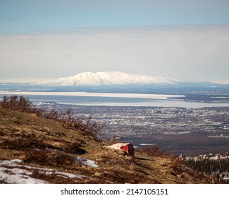 View Of Downtown Anchorage Alaska