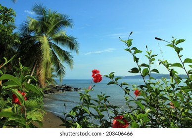 View to Drake Bay, Osa Peninsula, Costa Rica