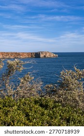 View of the dramatic cliffs and blue Atlantic Ocean in Sagres, Portugal, framed by native coastal vegetation in the foreground. The contrast between the green shrubs, the orange rocky cliffs, and the azure sea creates a vibrant and scenic travel background typical of the Algarve region.