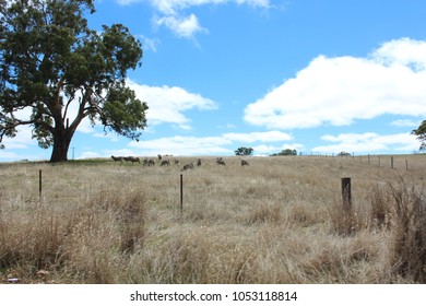 
View of dry fields