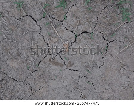 View of dry land in the fields during the dry season