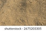 View of a dry, sandy-brown surface. The ground is covered in fine-grained dirt and small pebbles, with subtle ridges and depressions creating a natural, textured pattern across the entire frame.