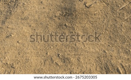 View of a dry, sandy-brown surface. The ground is covered in fine-grained dirt and small pebbles, with subtle ridges and depressions creating a natural, textured pattern across the entire frame.