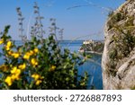View of Duino Castle seen through blooming spring bushes along the Rilke Trail, a scenic tourist path overlooking the Gulf of Trieste, Friuli Venezia Giulia, Italy.