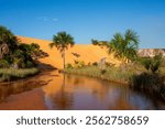 View of Dunas do Jalapão (Jalapão Dunes) at Jalapão State Park - Tocantins, Brazil