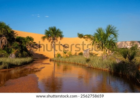 View of Dunas do Jalapão (Jalapão Dunes) at Jalapão State Park - Tocantins, Brazil