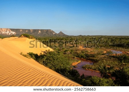 View of Dunas do Jalapão (Jalapão Dunes) at Jalapão State Park - Tocantins, Brazil