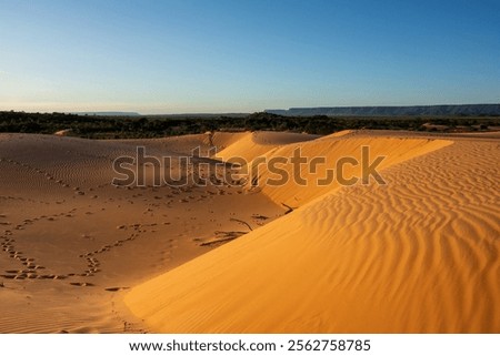View of Dunas do Jalapão (Jalapão Dunes) at Jalapão State Park - Tocantins, Brazil